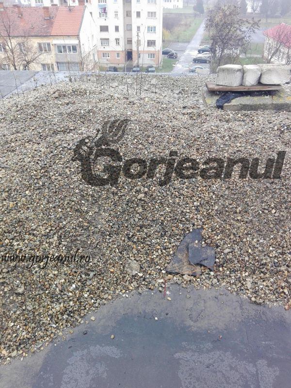 24139927_297018877472578_176794065_o