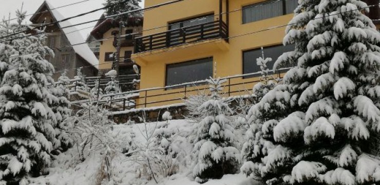 ninsoare-ranca-740x360