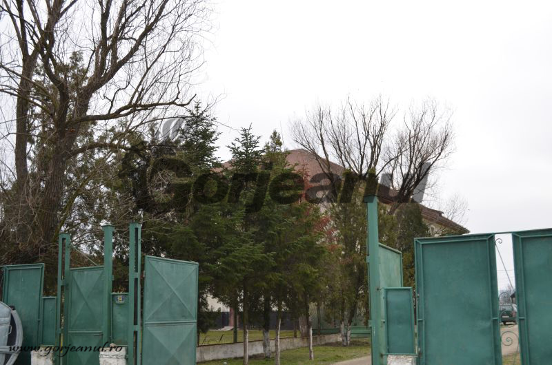 spital de nebuni turceni (1)