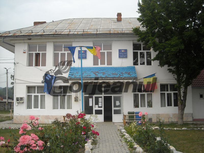 Concurs pe două posturi vacante la Primăria Bîlteni