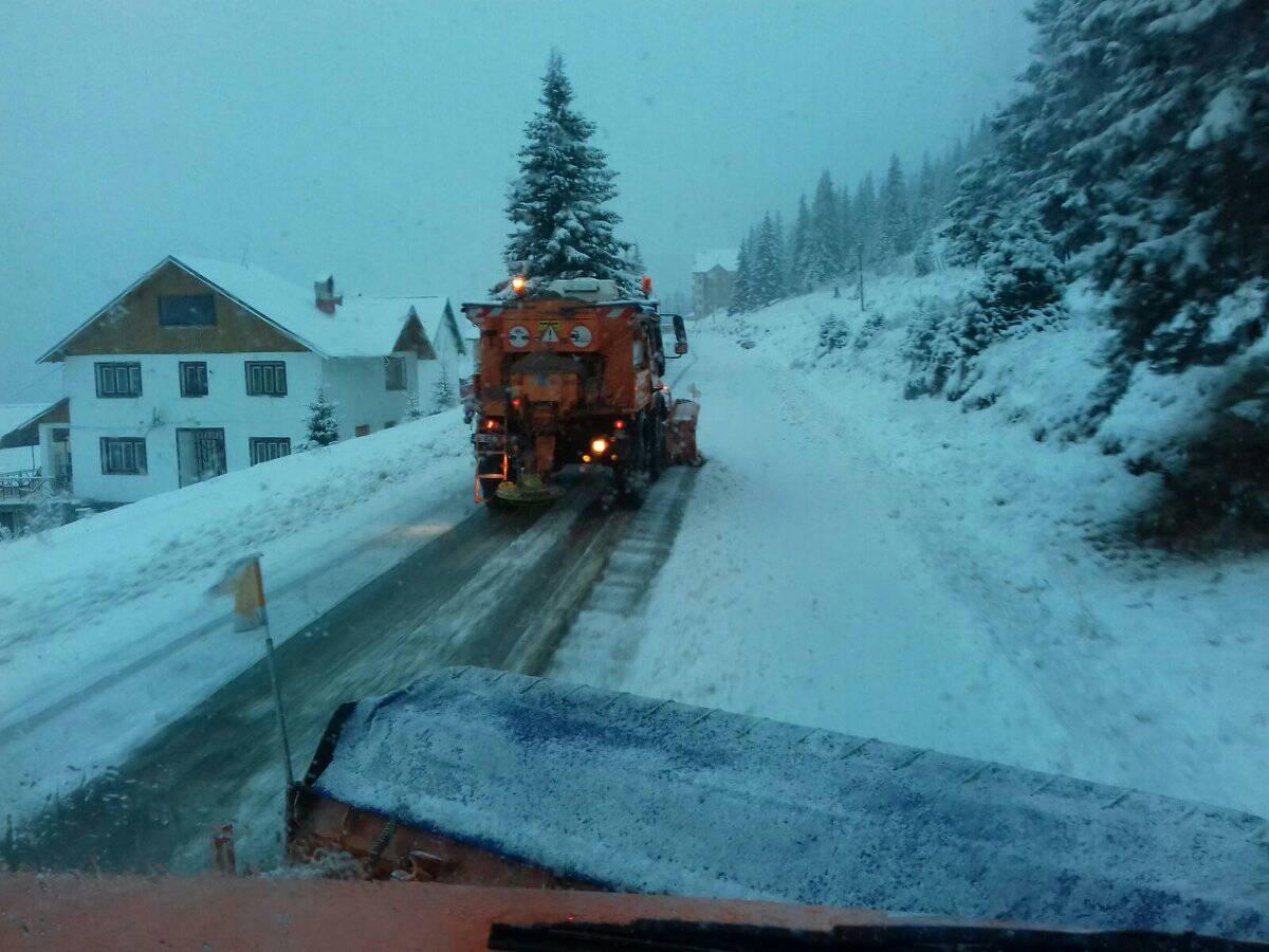 24116595_1893232887357895_630397129_o