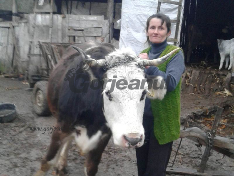 26905841_368752320255065_455312313_o