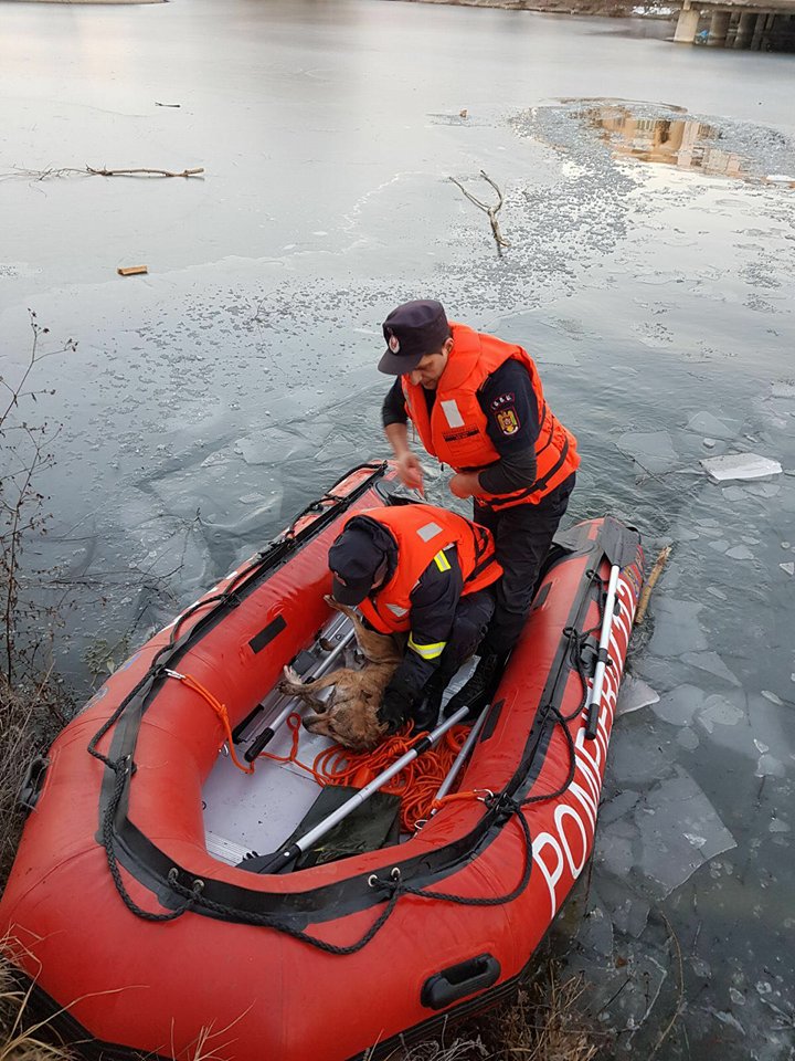 27591241_1822985961094723_317314488_n