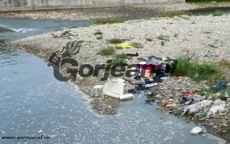 Rezultatele verificărilor SGA au fost făcute publice!