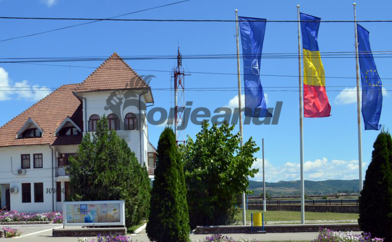 Concurs pe patru posturi vacante la Primăria Turceni