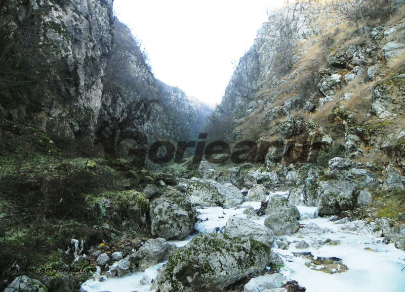 Ghearele muntelui (2)