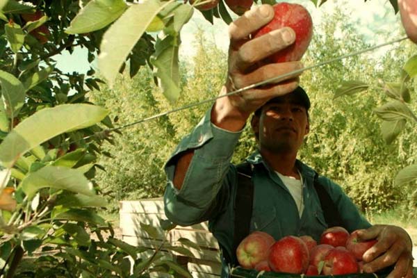 150 de locuri de muncă în Spania, prin EURES România