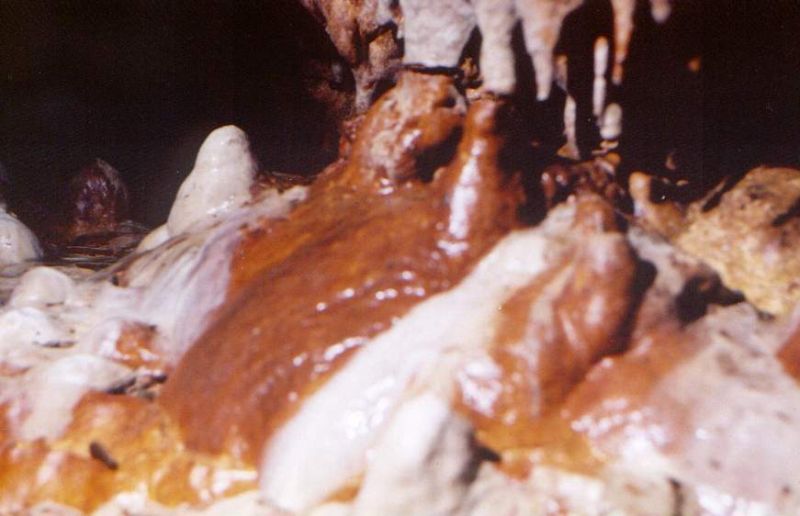 Câteva recomandări privind protecția mediului cavernicol