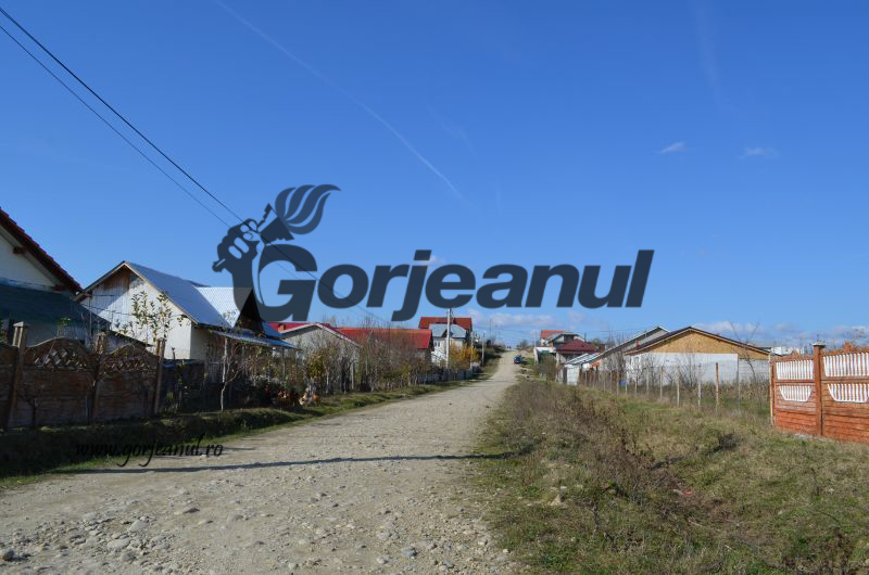 albeni-ulita-sinistrati-1