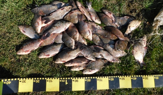 Descoperirea făcută de polițiștii din Turceni, după ce au oprit în trafic o mașină