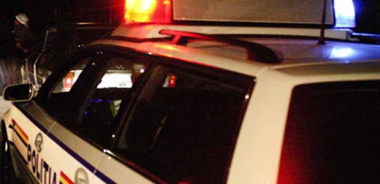 Mașină cu lemne, confiscată la Brănești