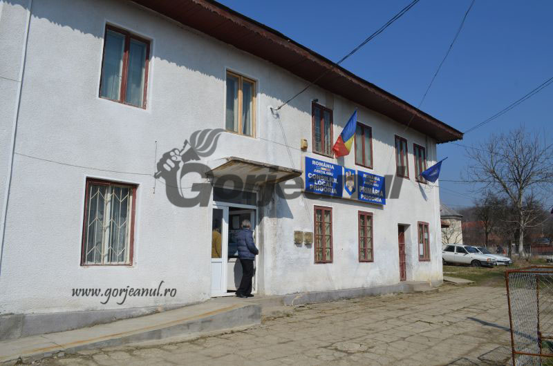 Angajare pe un post vacant la Primăria Prigoria