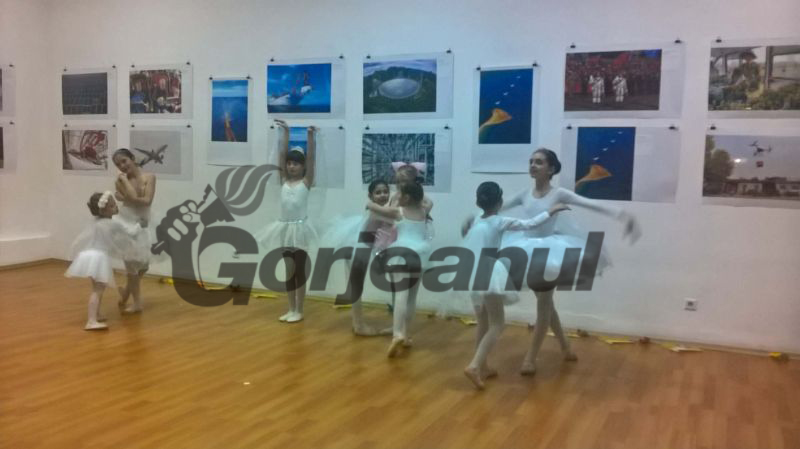 28945019_831344663720276_1323133895_o