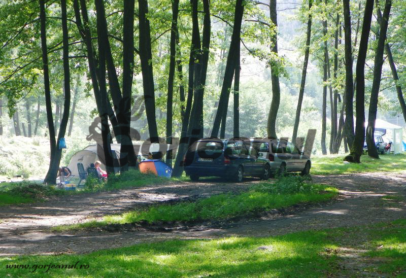 Legende, evocări şi superlative din lumea de piatră a Jiului de Sus(I)