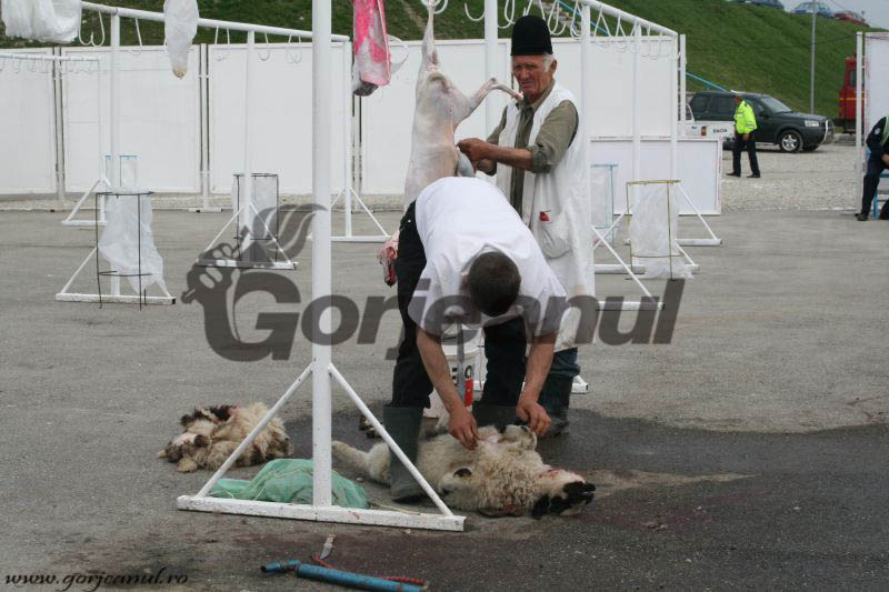 Mieii pentru Paşte, sacrificaţi în trei centre autorizate din judeţ