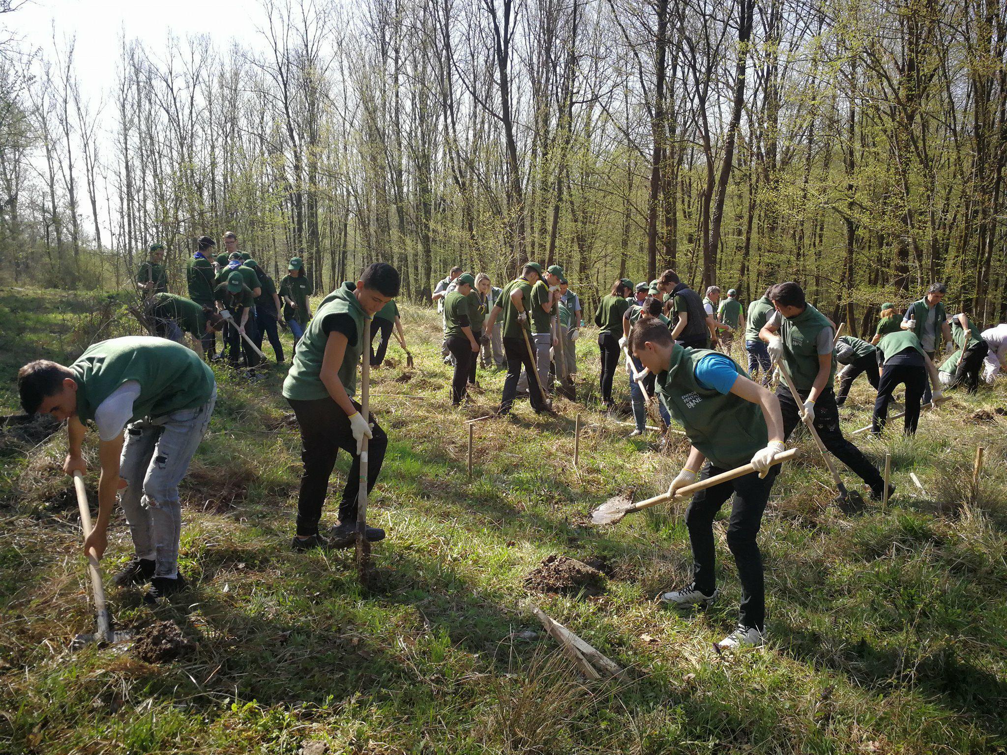 13 Ucenici Electricieni din Târgu-Jiu au plantat arbori de Luna Pădurii
