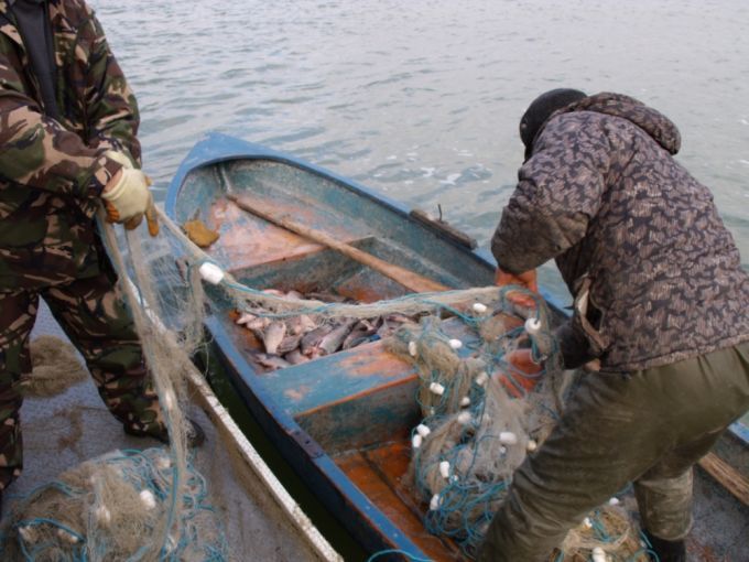 big-48-kg-de-peste-prins-in-apele-de-frontiera-in-perioada-de-prohibitie-1523696786