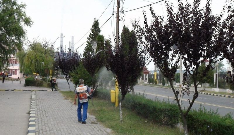 Acțiune de dezinsecție la Rovinari