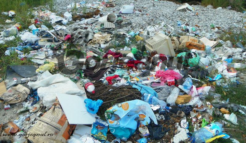 69 de localități din județ, verificate la capitolul salubrizare