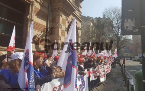 protest-sanitas-2-480x300