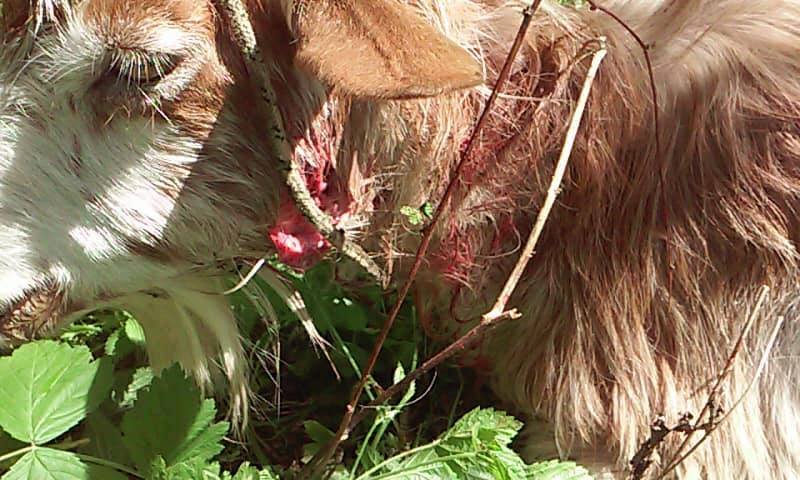 31855150_852965324891543_3676353797623382016_n