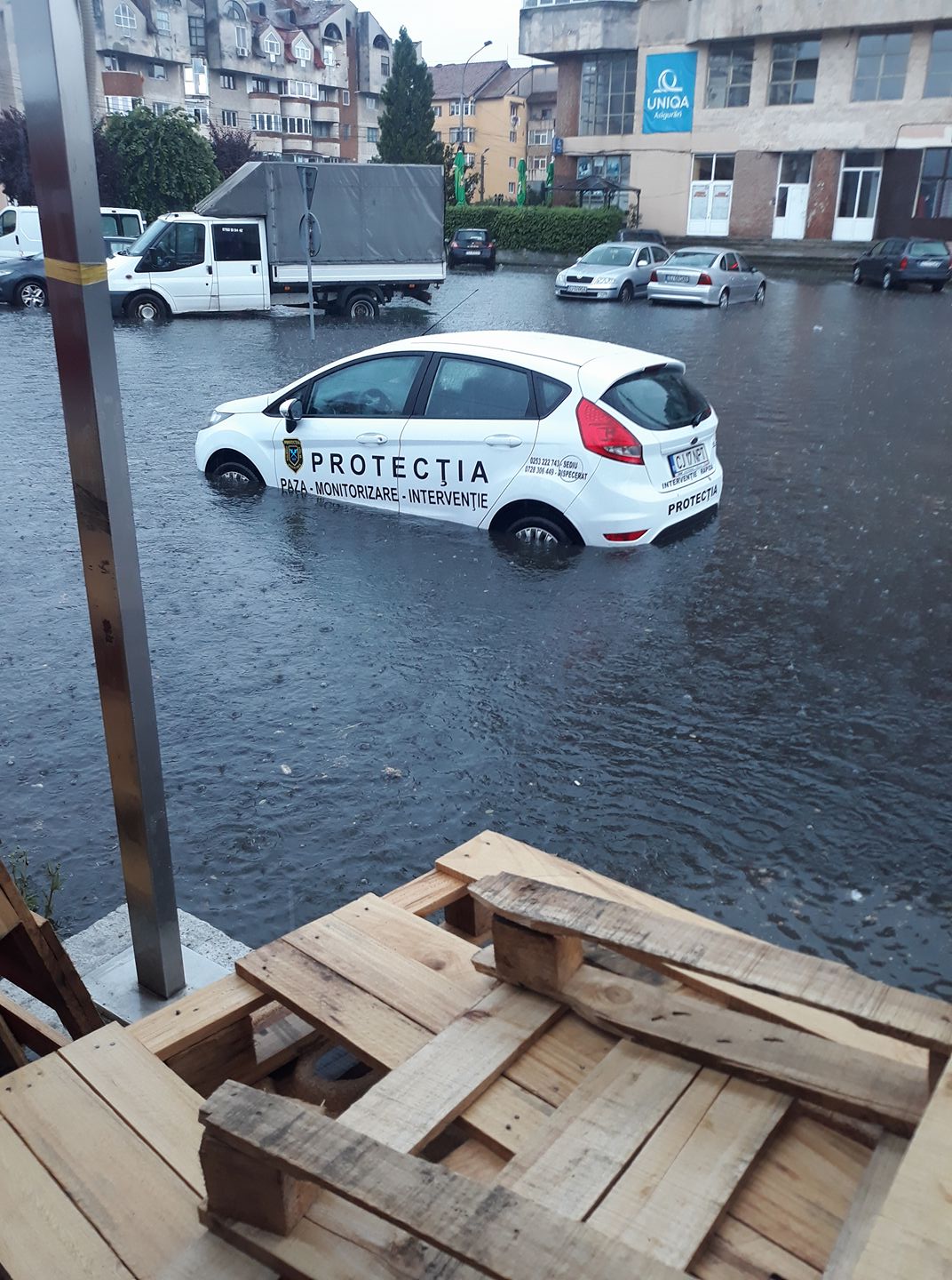 33803755_1849894878406679_9007618207325880320_o