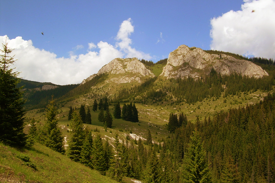Parcul-Național-Defileul-Jiului.doc-1