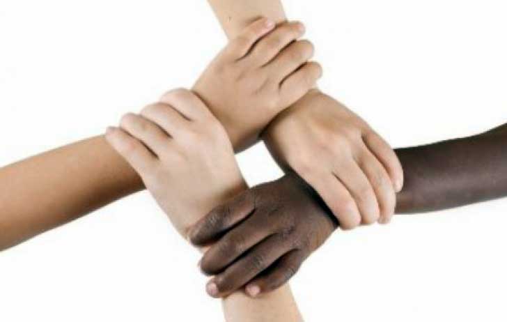 Asociaţia Scout Society continuă implementarea proiectelor în domeniul rasismului