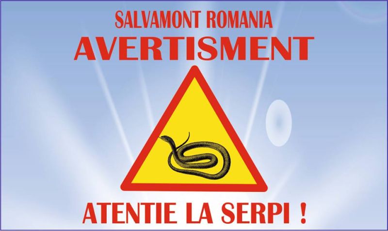 atentie la serpi