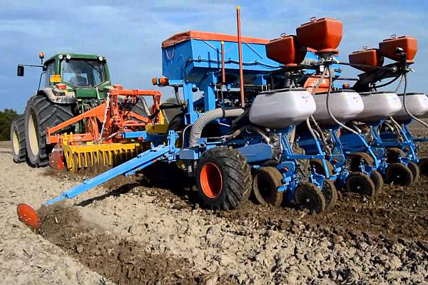 semanatul-porumbului