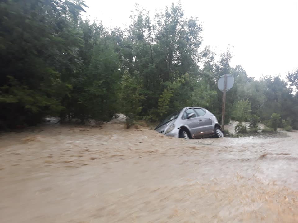 35542998_1813959865578019_6721414125051707392_n