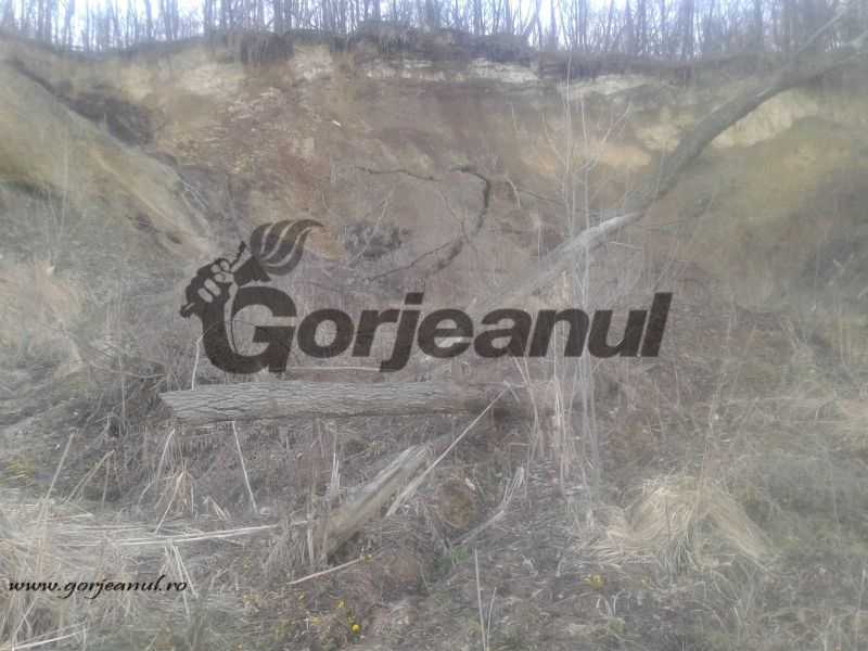 Reprezentanții BOV RESOURCES SRL le dau replica celor trei proprietari din Lupoaia: “Cei care ne contestă sunt în totală ilegalitate! Vor opt miliarde de la noi pentru a nu împiedica construcția microcarierei”!