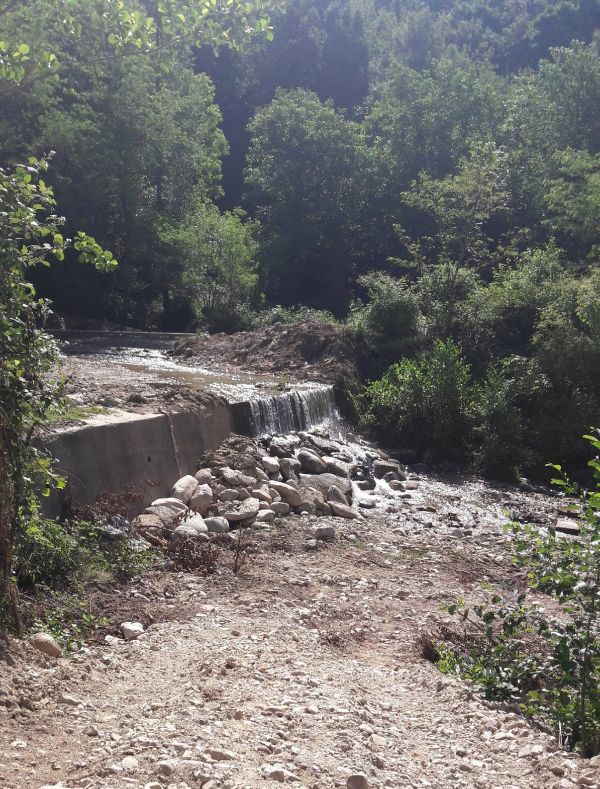 Angajații SGA au intervenit pe mai multe cursuri de apă