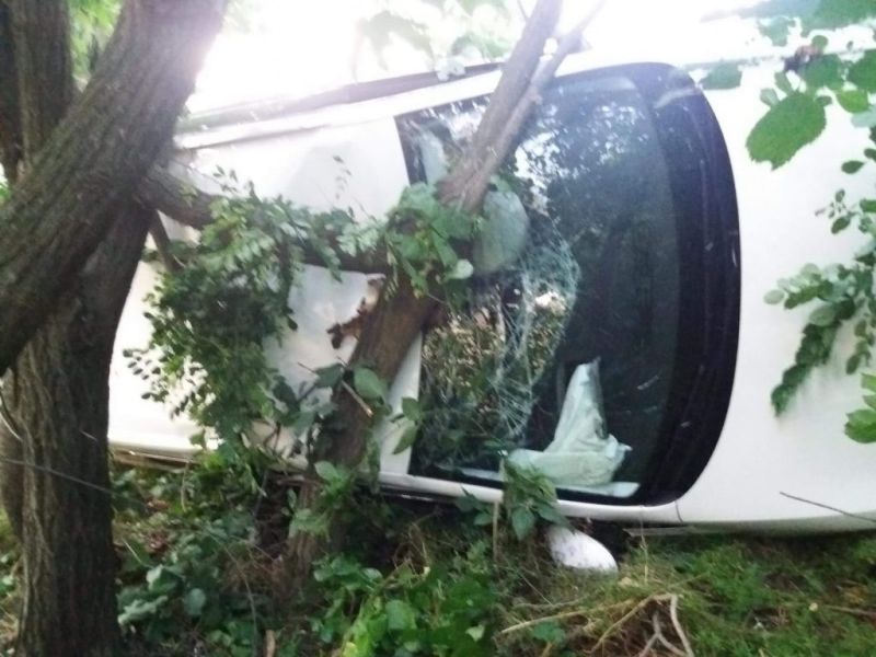 Accident pe Dealul Bujorăscu, șoferul belgian era beat