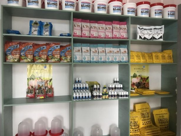 Olanda recrutează muncitori în producţia de hrană pentru patrupede