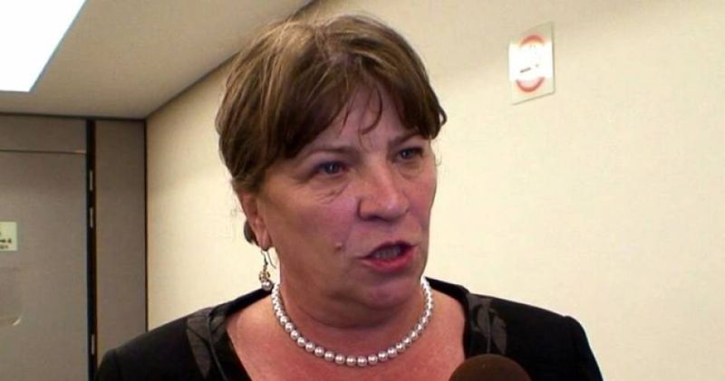 Norica Nicolai vrea voturi din Gorj pentru europarlamentare! – Funcția lui Dian Popescu îi asigură capital electoral