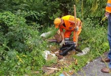 Descoperire șocantă la Lelești