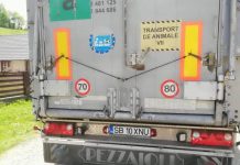 Trei ciobani din Baia de Fier, înșelați de samsarii de mioare! – Păgubiții au depus plângere penală pentru banda de infractori