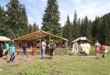 Supărarea băciței de pe Transalpina pentru memoria unui cioban