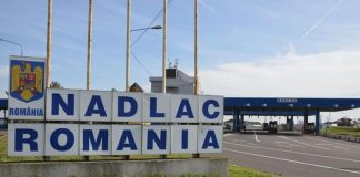 Gorjean cu carte de identitate românească falsă, descoperit de poliţiştii de frontieră de la Nădlac