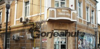 Pandurii, în așteptarea verdictului în procesul cu acționarii