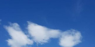 Funcționarii Primăriei Scoarța se mută în casă nouă!