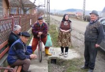 156 de lei, indemnizația socială medie pentru pensionarii agricultori din Gorj