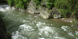 Ecologiștii, bucuroși că Jiul revine în matca lui