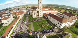 DGASPC Gorj organizează excursii pentru beneficiari, la Alba-Iulia, de Centenar