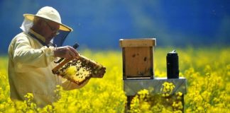 Ultima zi pentru depunerea cererilor spre obţinerea fondurilor din PNA