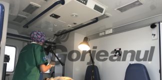 Acțiune de sterilizare gratuită a câinilor din Rânca! Semi-eșec previzibil!