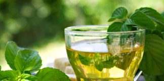 Plante medicinale care te răcoresc pe timp canicular!