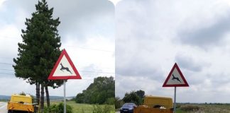 40 de noi indicatoare, montate pe drumurile naţionale din judeţ