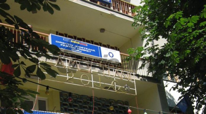 Noua organigramă a IȘJ Gorj, 8 inspectori au dispărut din schemă!